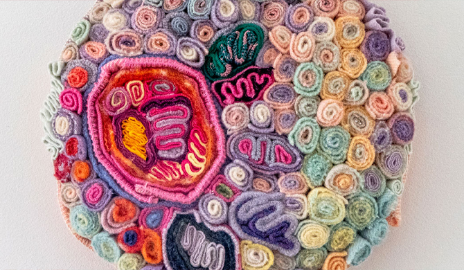 See more info about Safeguard Exhibition by Barbara K Stephenson in Warwick
