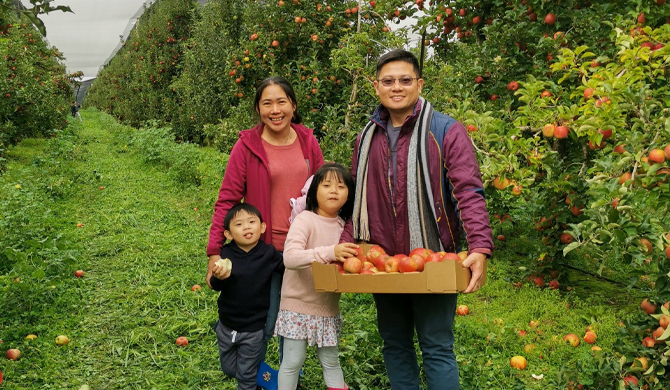 See more info about Pick Your Own Apples & Strawberries in Applethorpe