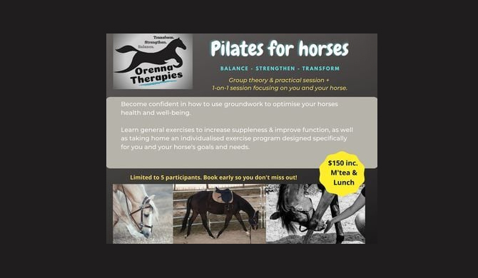 See more info about Pilates for Horses in Warwick
