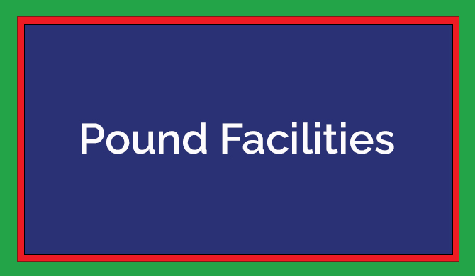 Find out more about Pound Facilities - Council Services in Warwick.
