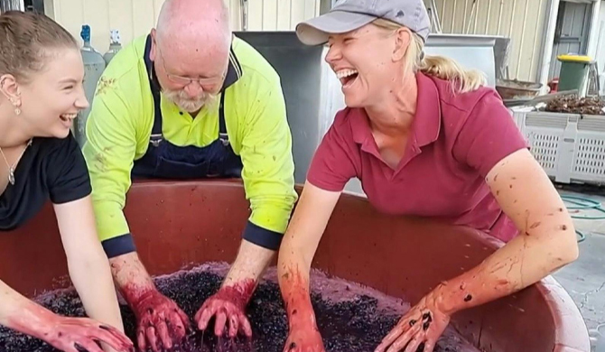 See more info about Ridgemill Estate 'Pick, Crush Plunge' Experience in Severnlea