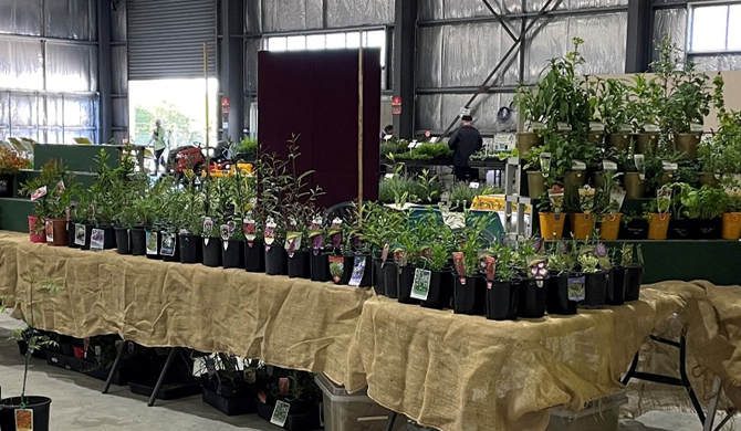 See more info about Stanthorpe Gardenfest and Trade Fair in Stanthorpe