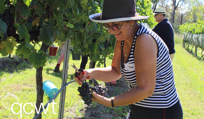 See more info about Winemaker for a Weekend in Stanthorpe 