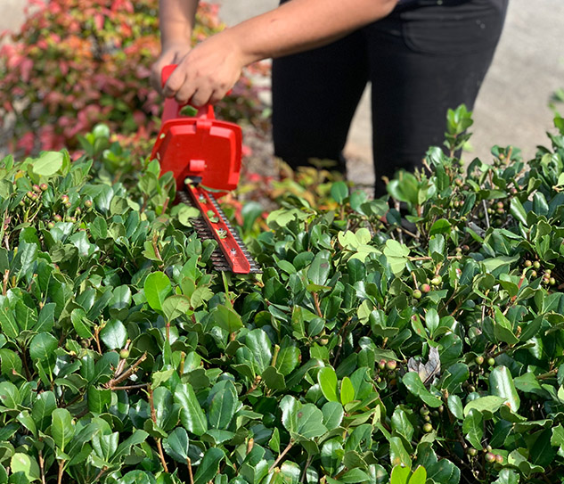 gabriel-mowing-and-maintenance-header-gallery-3