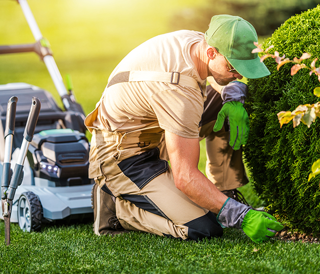 gabriel-mowing-and-maintenance-header-gallery-4