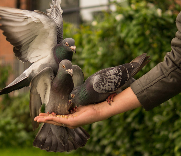 love-myself-unlimitd-header-gallery-5